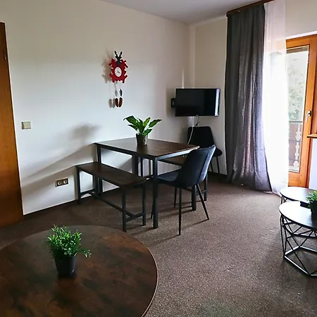 Anita - Nr 78 Mit Sauna In Lenzkirch-kappel Apartment *