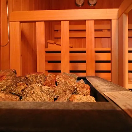 Anita - Nr 78 Mit Sauna In Lenzkirch-kappel Apartment